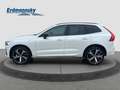 Volvo XC60 Ultra Dark Plug-In Hybrid/Pano/360K/21Zoll Klima Weiß - thumbnail 5