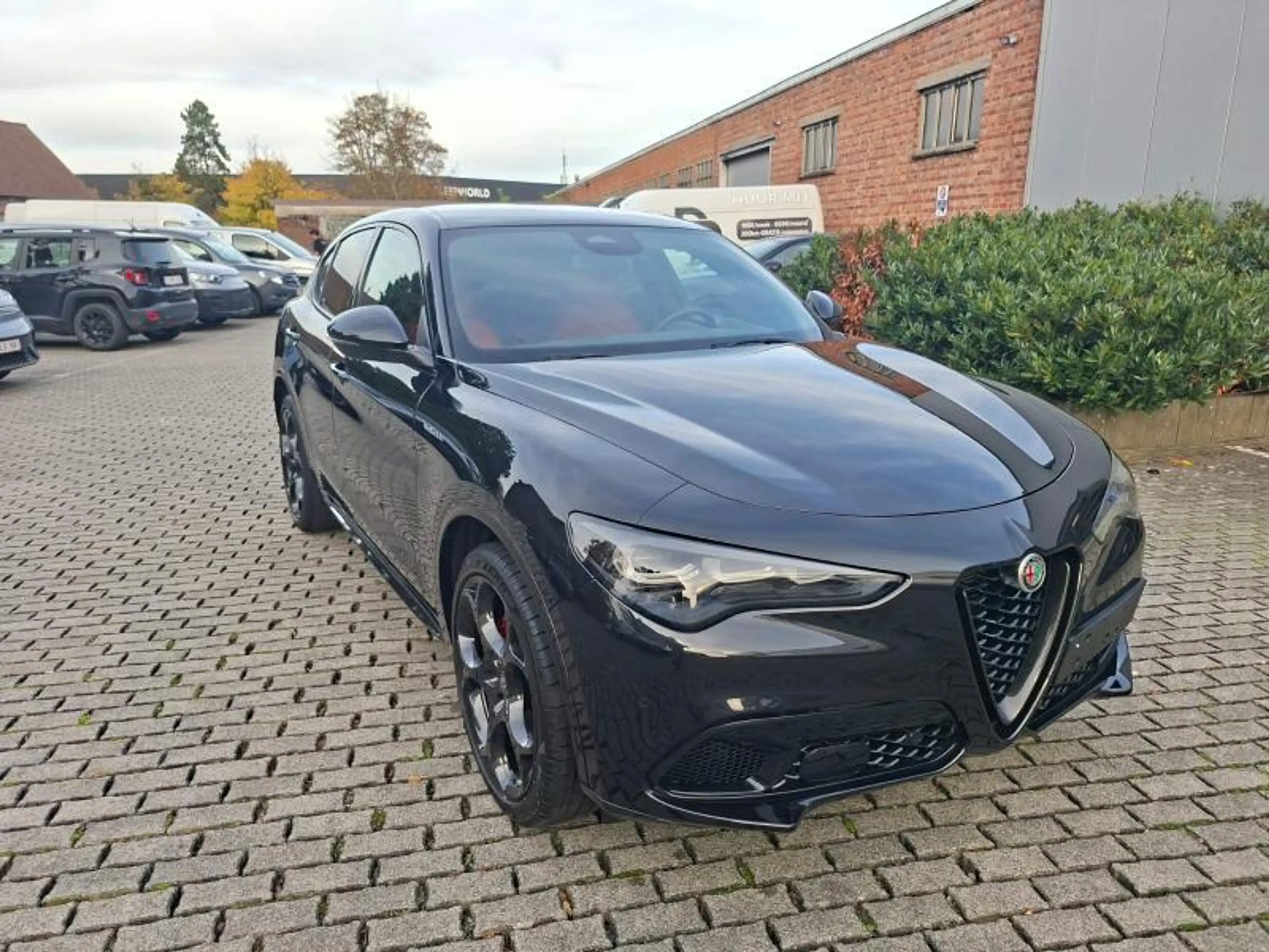 Alfa Romeo Stelvio 48990€  Veloce — photo 6