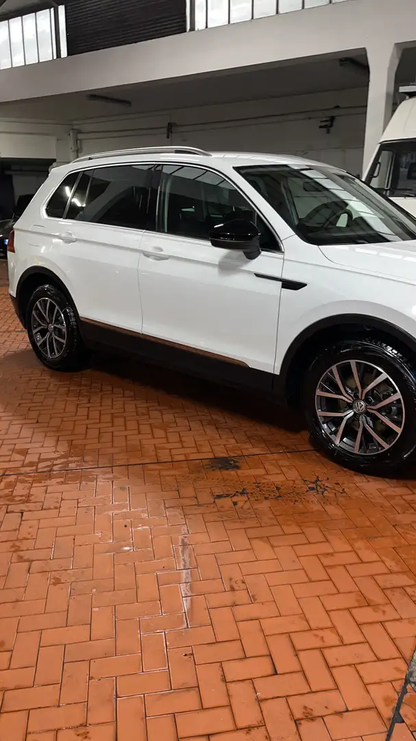 Volkswagen Tiguan 1.6 tdi Business 115cv - 1