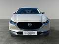 Mazda CX-30 CX-30 e-Skyactive G140 Exclusive-Line Aut. Grau - thumbnail 8