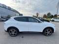 Alfa Romeo Tonale 1.5 hybrid Veloce 160cv tct7 Blanc - thumbnail 6