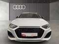 Audi RS4 RS4 Avant tiptronic MatrixLED HuD RS-Sportabgasa Weiß - thumbnail 2