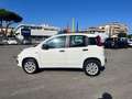 Fiat Panda 0.9 TwinAir Turbo Natural Power Easy Bianco - thumbnail 8