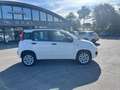 Fiat Panda 0.9 TwinAir Turbo Natural Power Easy Bianco - thumbnail 4