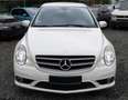 Mercedes-Benz R 320 CDI 4M AMG Optik AHK AppleC Standheizung Blanc - thumbnail 9