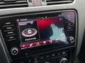 Skoda Octavia Combi 2,0 TDI Style Limited 4x4 DSG Schwarz - thumbnail 10