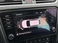 Skoda Octavia Combi 2,0 TDI Style Limited 4x4 DSG Schwarz - thumbnail 12