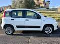 Fiat Panda 0.9 TWINAIR TURBO NATURAL POWER EASY - thumbnail 3
