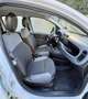 Fiat Panda 0.9 TWINAIR TURBO NATURAL POWER EASY - thumbnail 7