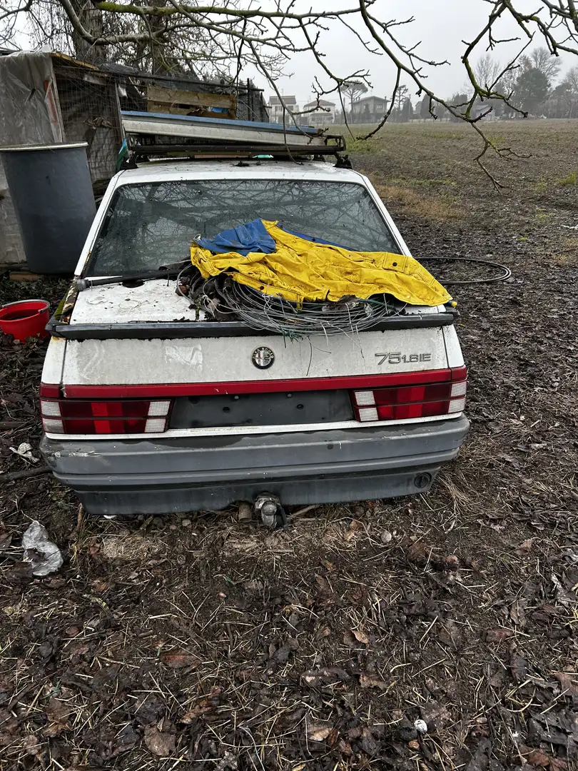 Alfa Romeo 75 1.8 - 1