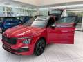 Skoda Kamiq Monte Carlo ,Navi,PDC,ACC,Matrix LED,DSG Rouge - thumbnail 19