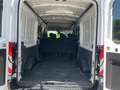 Ford Transit 350 96kW L3H2 Mixta Trend Delantera Blanco - thumbnail 13