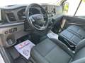 Ford Transit 350 96kW L3H2 Mixta Trend Delantera Blanco - thumbnail 8