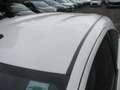Toyota Aygo X Aygo 1.0 x Klima Hagelschaden + Kupplung defekt White - thumbnail 6