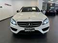 Mercedes-Benz C 220 C SW 220 d Premium 4matic auto AMG PACK NIGHT Bianco - thumbnail 2