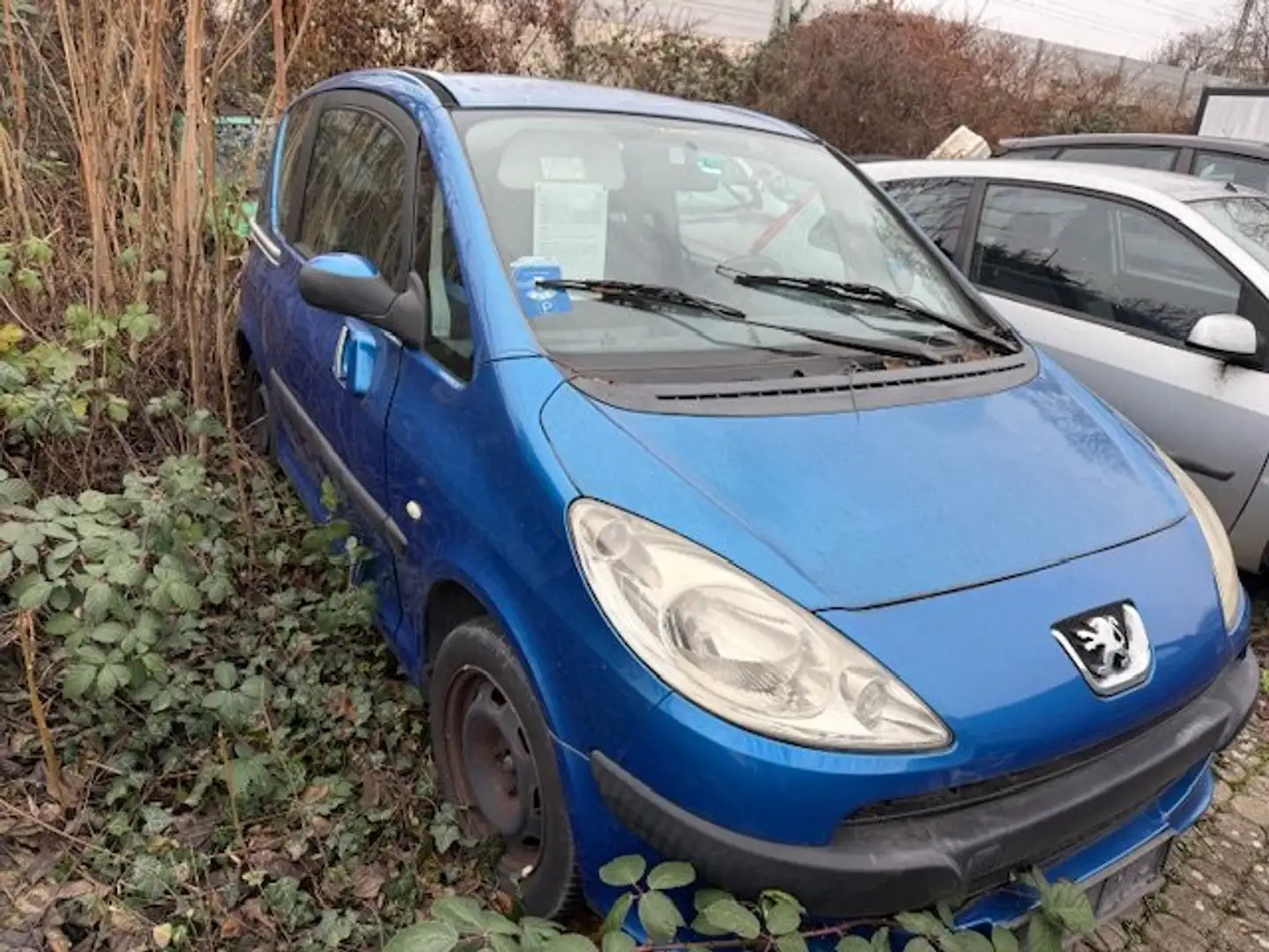 Peugeot 1007 Filou Blau - 2