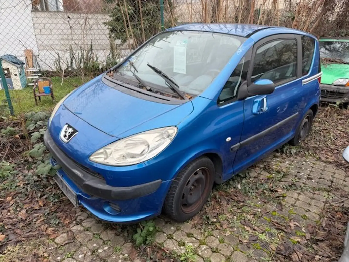 Peugeot 1007 Filou Blau - 1