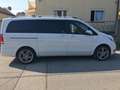 Mercedes-Benz V 250 V 250 d 4MATIC lang Exclusive Aut. Exclusive Weiß - thumbnail 2