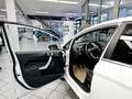 Ford Fiesta Titanium Tüv 10-2025,nur Gewerbe o.Export Blanco - thumbnail 14
