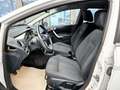 Ford Fiesta Titanium Tüv 10-2025,nur Gewerbe o.Export Blanco - thumbnail 13