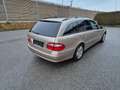 Mercedes-Benz E 220 E 220 T Elegance CDI Elegance Gold - thumbnail 5