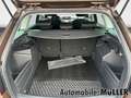 Skoda Fabia Combi Soleil 1.0 TSI 81 kW*NAVI*LED*Bluetooth*Sitz Braun - thumbnail 10