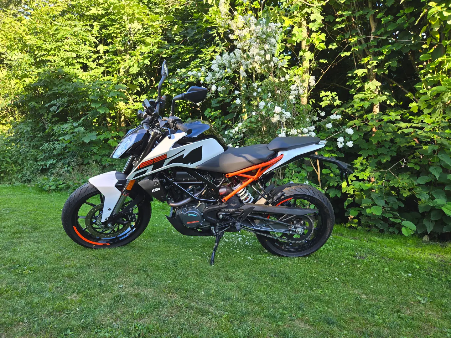 KTM 125 Duke White - 2