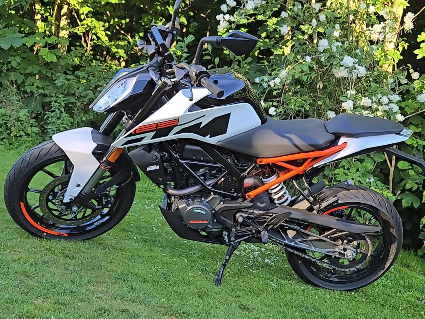 KTM 125 Duke White - 1