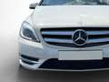 Mercedes-Benz B 180 7G-DCT 90KW/122PS 90 kW (122 PS), Automatik, Fr... Bianco - thumbnail 7