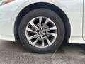 Toyota Prius Prius Plug-in White - thumbnail 7