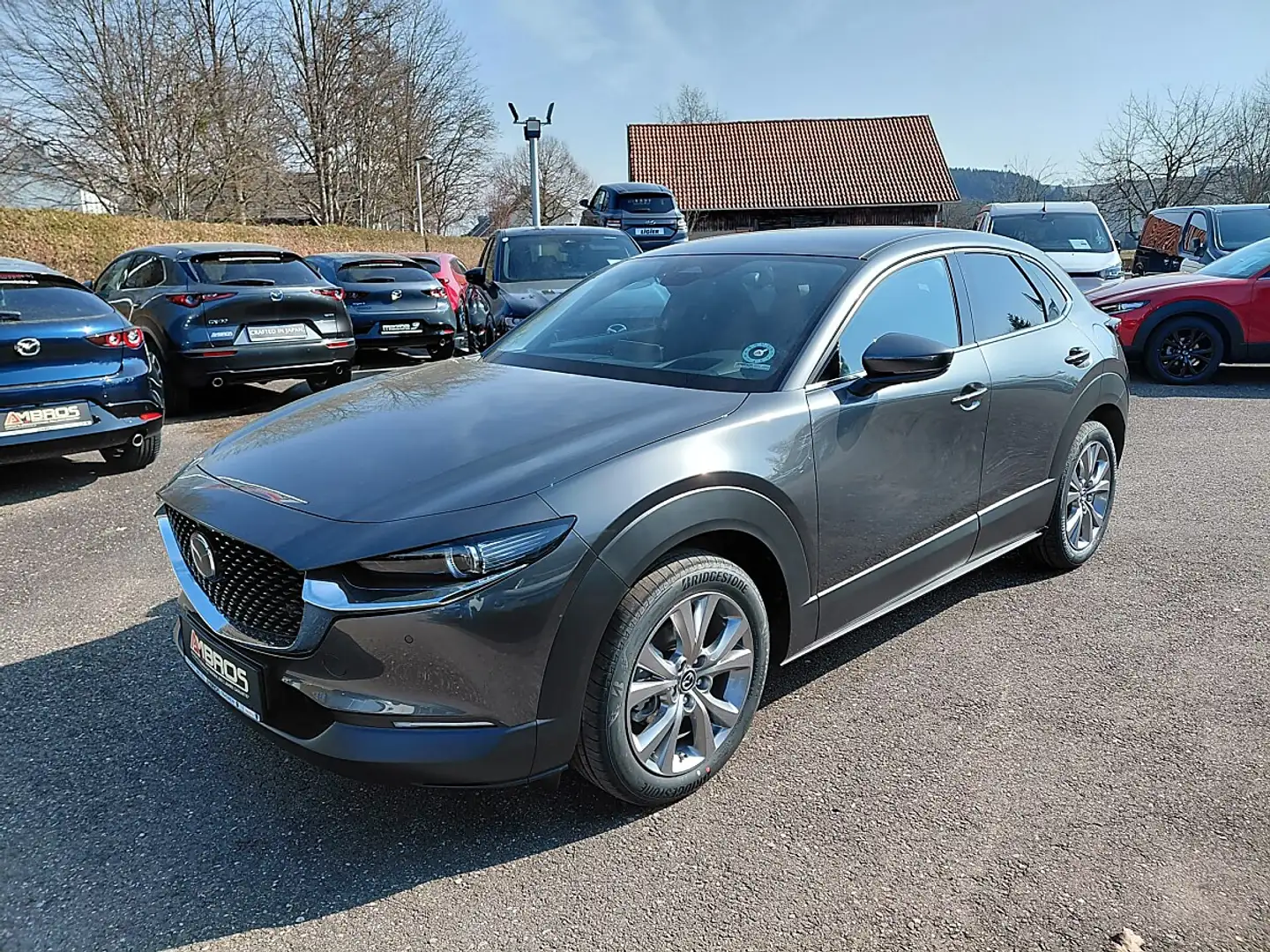 Mazda CX-30 e-Skyactive G140 Exclusive-Line Aut. Grau - 1