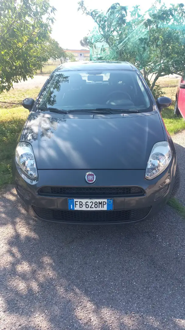 Fiat Punto 5p 1.2 Lounge E6 Grau - 2
