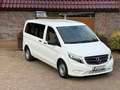 Mercedes-Benz Vito 116 CDI kompakt*Mixto*MwSt*Tüv neu* Weiß - thumbnail 3