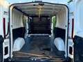Fiat Talento 2.0 Multijet L2H1 Blanc - thumbnail 14