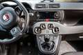 Fiat Panda Panda 1.2 Blauw - thumbnail 6