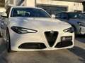Alfa Romeo Giulia 2.2 TD 136 CV Super Weiß - thumbnail 2