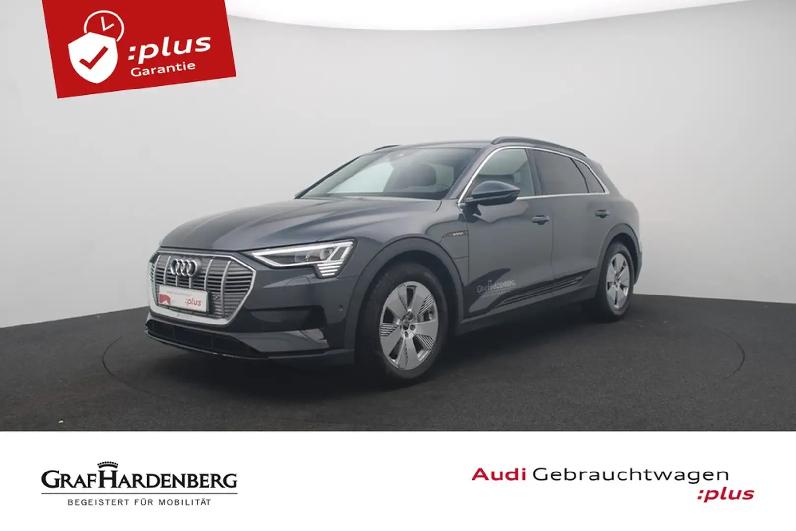 Audi e-tron 55 quattro Matrix Navi B&O Grau - 1
