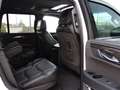 Cadillac Escalade ESV 6.2L V8 Platinum 4WD Blanco - thumbnail 41