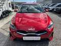 Kia Ceed / cee'd KIA CEED TITAN 1.0 TGDI Rot - thumbnail 7