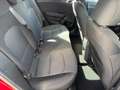Kia Ceed / cee'd KIA CEED TITAN 1.0 TGDI Rot - thumbnail 11