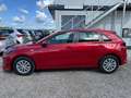Kia Ceed / cee'd KIA CEED TITAN 1.0 TGDI Rot - thumbnail 2