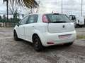 Fiat Punto III 1.3 MULTIJET 16V 75 YOUNG 5P Weiß - thumbnail 3