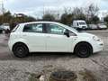 Fiat Punto III 1.3 MULTIJET 16V 75 YOUNG 5P Weiß - thumbnail 7