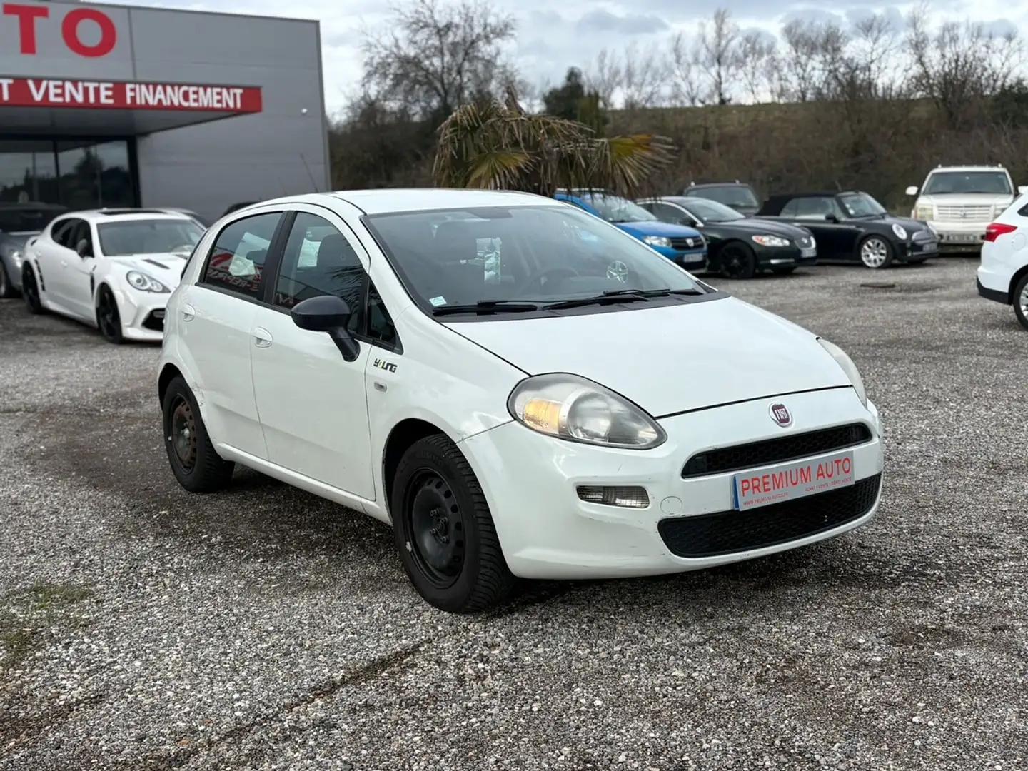 Fiat Punto III 1.3 MULTIJET 16V 75 YOUNG 5P Blanc - 2