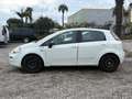 Fiat Punto III 1.3 MULTIJET 16V 75 YOUNG 5P Weiß - thumbnail 2
