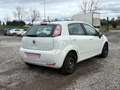 Fiat Punto III 1.3 MULTIJET 16V 75 YOUNG 5P Weiß - thumbnail 6