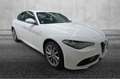 Alfa Romeo Giulia Giulia Bianco - thumbnail 1