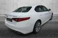 Alfa Romeo Giulia Giulia Bianco - thumbnail 3