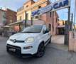 Fiat Panda Panda III 2021 1.0 firefly hybrid City Life s Bianco - thumbnail 5