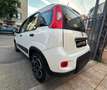 Fiat Panda Panda III 2021 1.0 firefly hybrid City Life s Bianco - thumbnail 3
